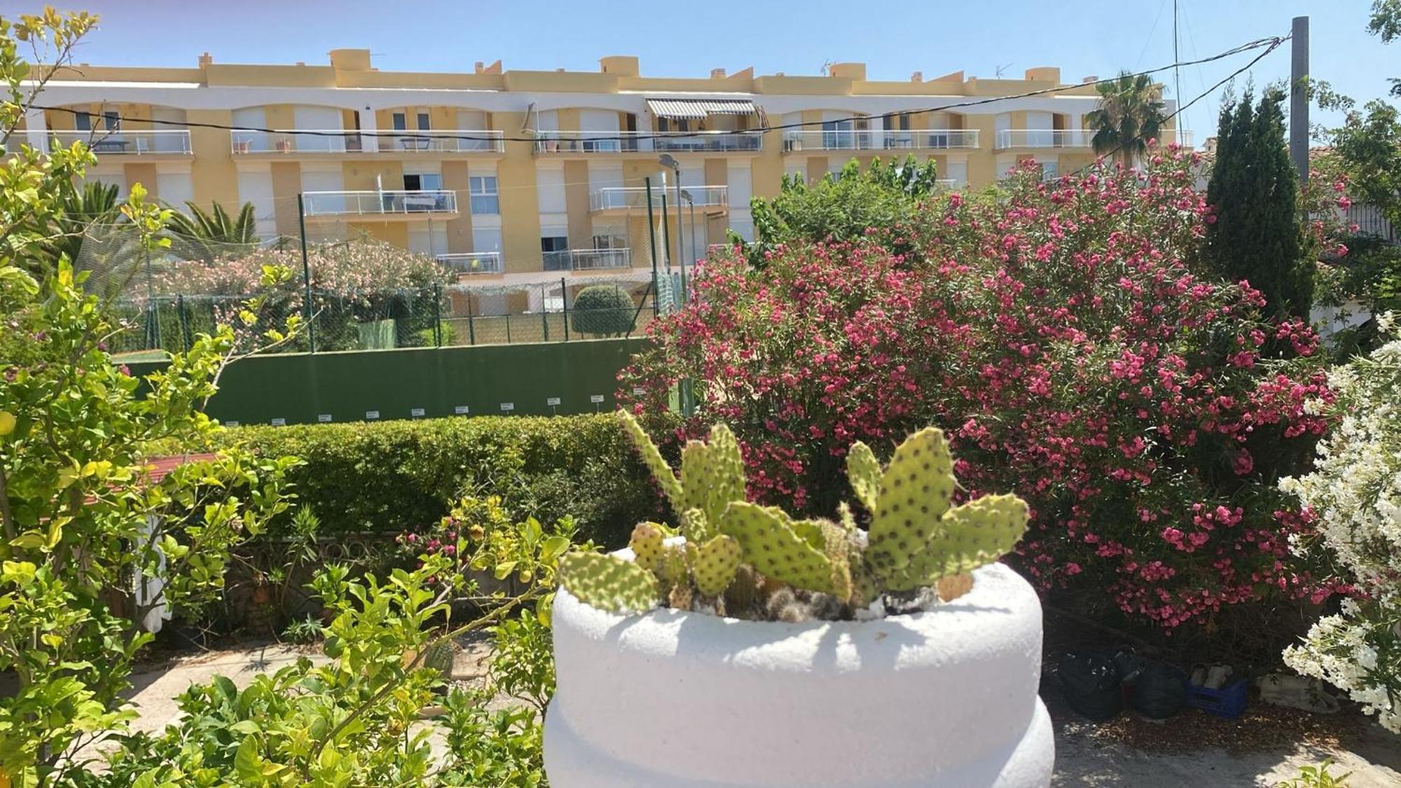 Chalet Denia Playa Primera Linea Exteriör bild